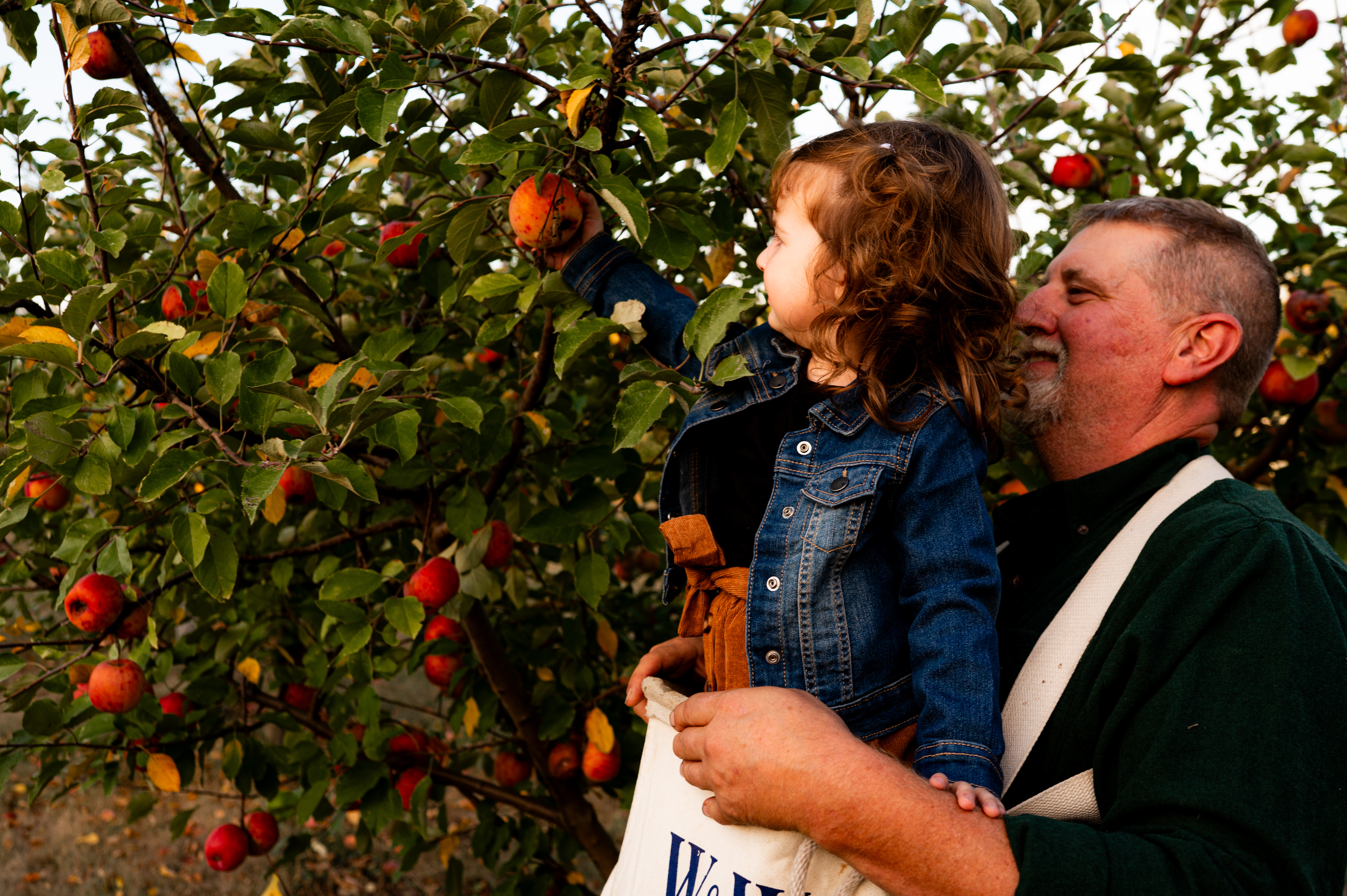 Okaw Valley Orchard